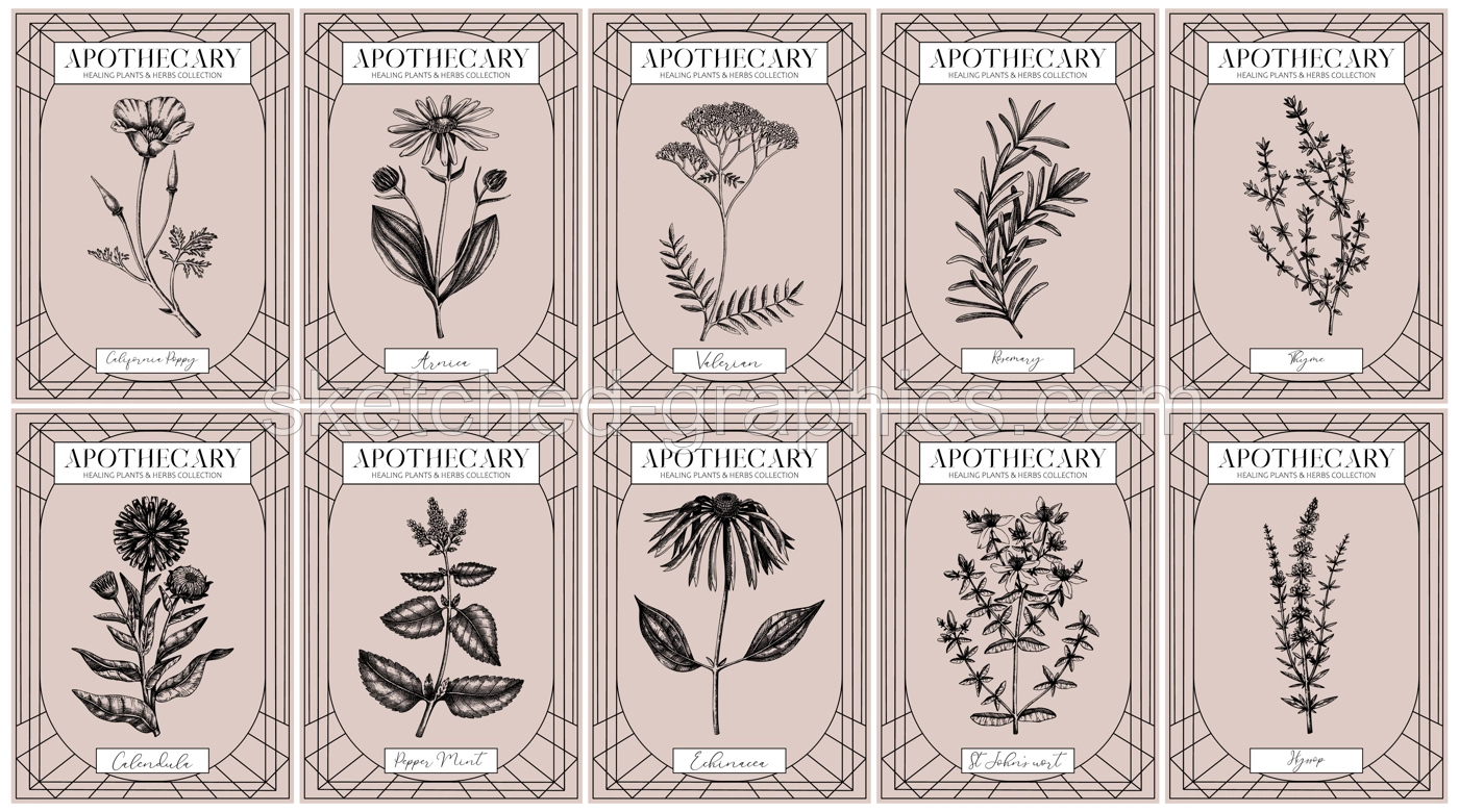 Apothecary labels set. Healing plants and medicinal herbs sketches. Art nouveua, adt deco, retro style. Vintage frame design templates. NOT AI generated Illustration